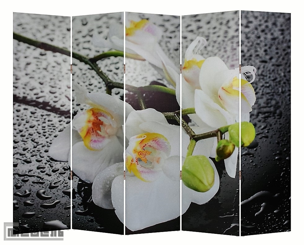 Ширма "1111-5" Белая орхидея и капли