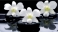 Стол обеденный раздвижной "Нью-йорк" с фотопечатью (ЛДСП Бетон белый/столешница Орхидея на чёрных камнях/ноги металл, цвет: чёрн